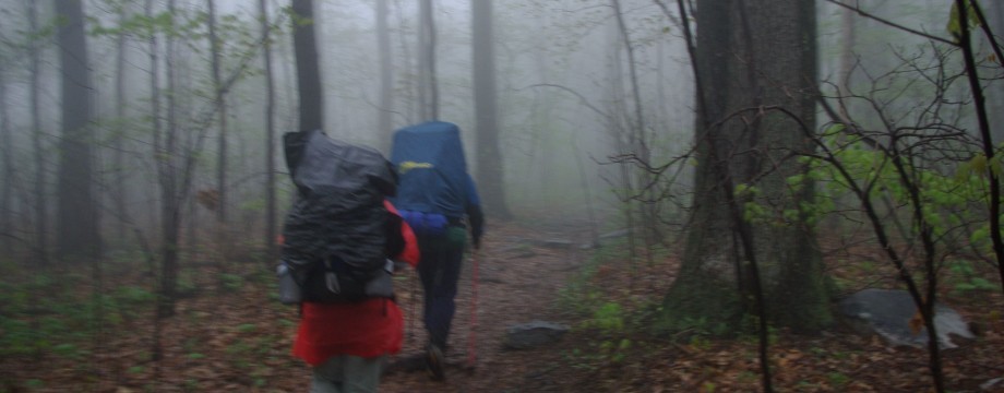 Hikers in the Mist